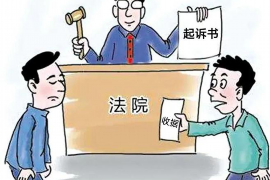 诏安债务清欠服务